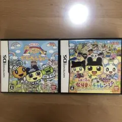 【ケース説明書】たまごっちのアッパレにじべんちゃー　なりきりチャレンジ