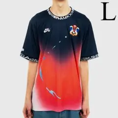 L　NIKE SB USA スケボー Tシャツ ナイキ　グラデーション