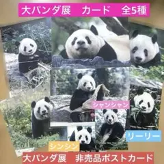 ぎ*る様 北斗の拳 ラオウ コミパラ 風カード 香港 正規品 - メルカリ