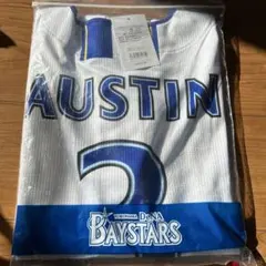 Item thumbnail for item 2d2246ce-d967-4d5f-a79a-7f07133c42ce