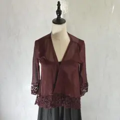 Y2K Fairy Grunge Sheer Lace Bolero 平成ギャルのサムネイル