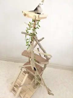 Item thumbnail for item 6955f0ce-9012-44e1-9794-518bada53525