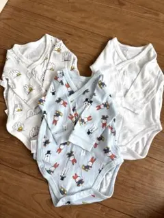 Item thumbnail for item e6fcfb75-0fff-4d91-88fe-b9556112c141