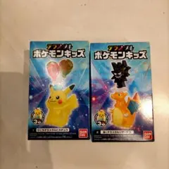 テラスタルポケモンキッズ ピカチュウ リザードン 2種セット
