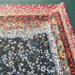 L27ウィルトシャー6枚セット 50×30cmラミネート生地