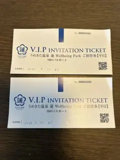 うめきた温泉 蓮 Wellbeing Park 2枚インフィニティプール利用可のサムネイル