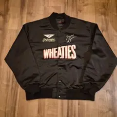 90's NHL キングス LA KINGS ナイロンスタジャン STARTER - メルカリ