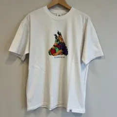NIKE ACG Tシャツ ホワイト Lサイズ