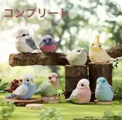 もふもふ　てのりフレンズ3 全８種コンプリセット外箱なし　発送