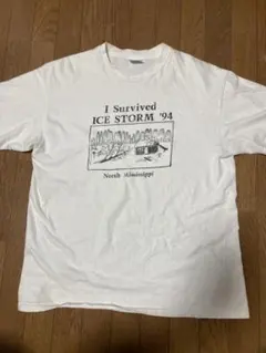 90s Hanes BEEFY ICE STORM Tシャツ USA製 XL