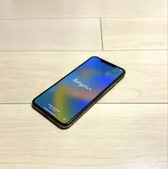 iPhone11 Pro Max （64GB）