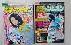 Item thumbnail for item 9fe08b0d-f136-4581-ae0b-3f5498516bfb