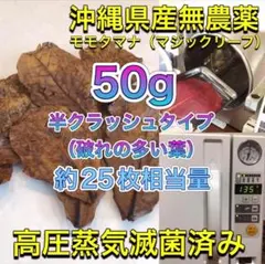 2026年最新】モモタマナの人気アイテム - メルカリ