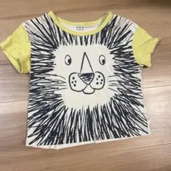 Item thumbnail for item a9c3fee0-1552-4709-949a-1f5ce0e535d5