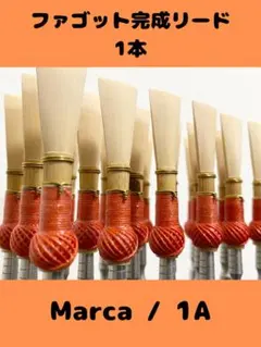 Item thumbnail for item b419e47f-d39a-4f3a-9431-dd09b0010362