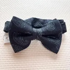 Item thumbnail for item e04ad3b4-766a-4fdc-8089-fc8def19e1c6