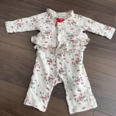 センスオブワンダー　７０センチ