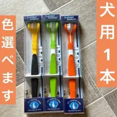 Item thumbnail for item 5eb35714-139f-48e4-a71f-0de4908db909