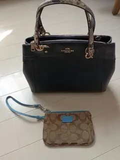 コーチ　ブラック　パイソン　2wayショルダーバッグ ハンドバッグ　おまけ付き