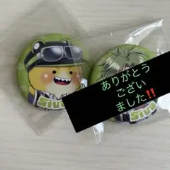 からぴち シヴァ 缶バッジ 2個セット からぴち遊園地 カラフルピーチ