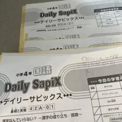 SAPIX4年 2023年6月〜デイリーサピックス 国語A・B(第20〜36回