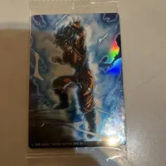 ドラゴンボール 孫悟空 スーパサイヤ人ゴッドSS