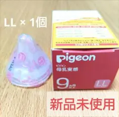 Item thumbnail for item eb5eca76-3a6b-4b64-b8db-efa29f3e841e