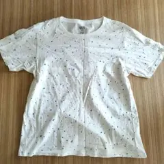 Item thumbnail for item 2a4c202c-72c8-456f-8087-23a010c30e52