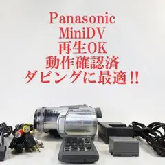 miniDVのダビングに Panasonic ビデオカメラ NV-GS250 - メルカリ