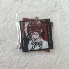 ツイステ リドル アクキー 実験着 リドル・ローズハート