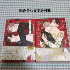 BL２冊セット328