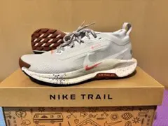 美品⭐︎NIKE ペガサストレイル5 GTX 25.5cm