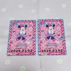 yuさん専用　ミニーファンタジーランド　リゾラ　 1DAY PASS 2枚セット