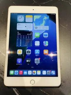 Apple iPad mini 5