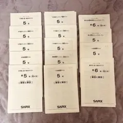 2026年最新】サピックス 5年 マンスリー確認テストの人気アイテム