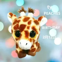 ty ぬいぐるみのサムネイル