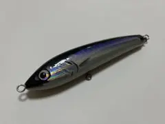 2025年最新】カーペンターブルーフィッシュの人気アイテム