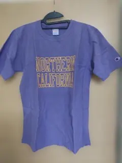 チャンピオン リバースウィーブ Tシャツ パープル カレッジロゴ