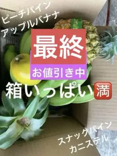 沖縄南国フルーツ4種セット本日限定❤️ 人気パイン2種&人気バナナ&カニステルのサムネイル