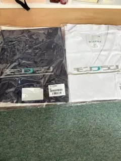 Item thumbnail for item 642f1b20-833d-45c4-ac1a-c2b84d4ffb96