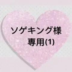 ソゲキング様 6点商品専用(1)