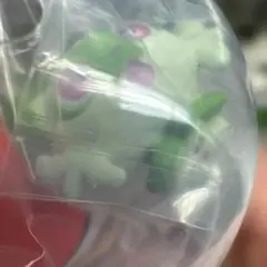 ポケモン わくわくアスレチック　ニャオハ