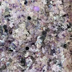 【50個】パープル素材mix ネイルパーツ クリア　デコパーツ まとめ売り　地雷