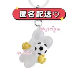 匿名配送♡beco+81 めじるしアクセサリー サッカー コピペ❌のサムネイル