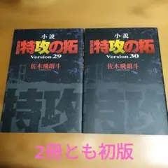 2026年最新】小説 疾風伝説 特攻の拓 Version30 の人気アイテム - メルカリ