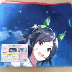 ウマ娘 プリティーダービー ぬいぐるみ ＆ バスタオル まとめ売りセット メルカリ