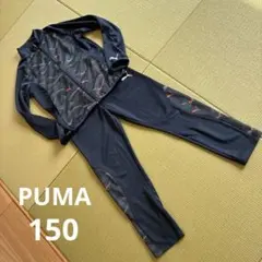 PUMA★ジャージ上下セット ネイビー 150