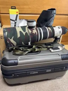 2026年最新】EF 500mm F4L IS USMの人気アイテム - メルカリ