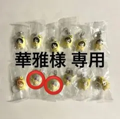 【華雅様 専用】