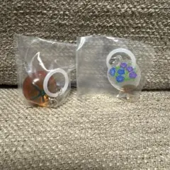 彩り変わった涼を感じる めじるしアクセサリー　ガチャ　夏